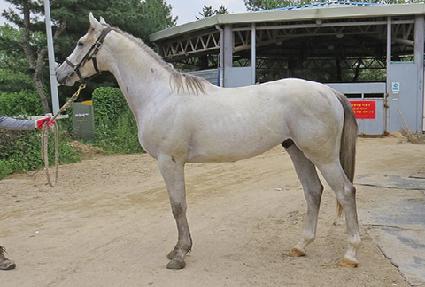 ����è�Ǿ� ����