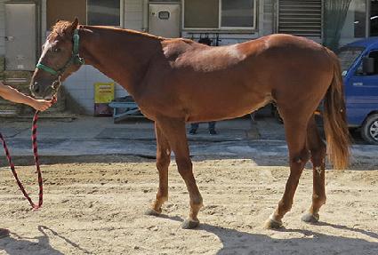 �������ӽ� ����