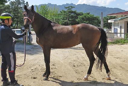 �ǿ�������ü ����