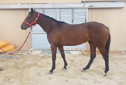 �ƶ�ٿ� ����