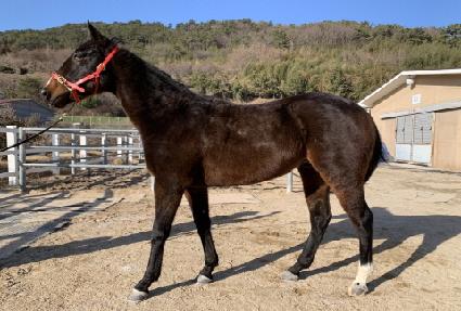 ��Ʈ�ں��� ����