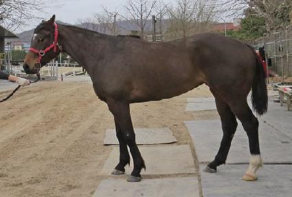 �ü��ָ� ����