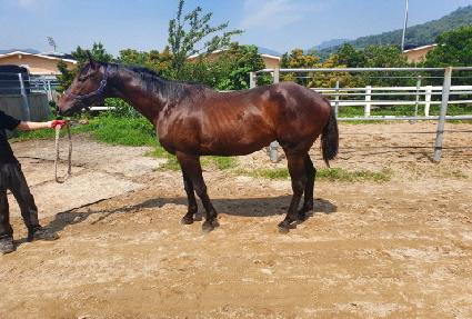 ������ ����