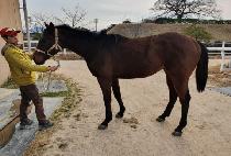 ��ȭ�ǽ��� (BYEONHWAUI SIJAK) ����