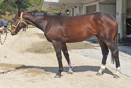 ���ǹ�� ����