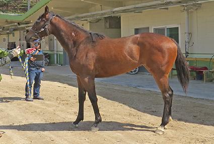 ���̾���� ����