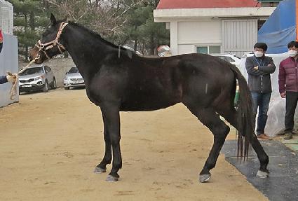 �ְ����� ����