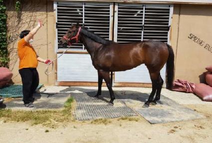 �ذŸ���ȭ ����