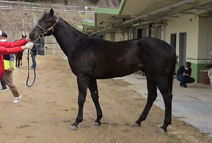 �������� ����