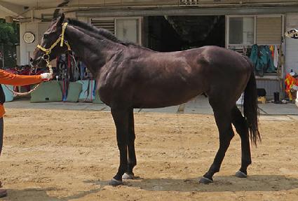 ��Ʈ���� ����