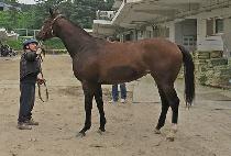 ���ۿ�� (GEOLJAK WOMAN) ����