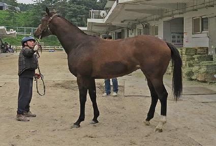 ���ۿ�� ����