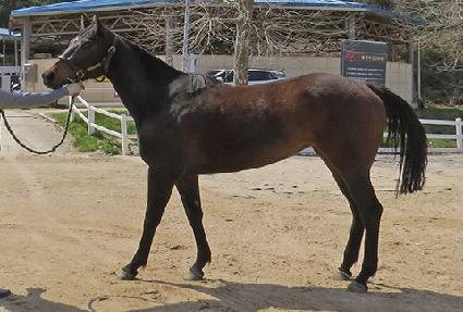 ����Ǯ��� ����