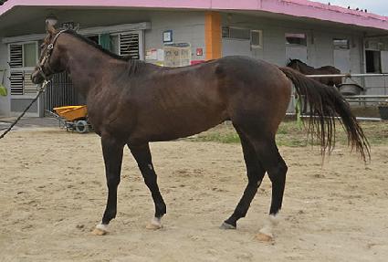 ����Ʈ���� ����