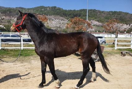 ����ȷ����� ����