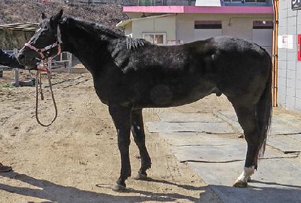 ŷũ���� ����