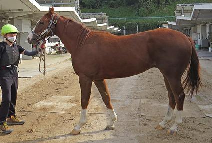 ���ֺ� ����