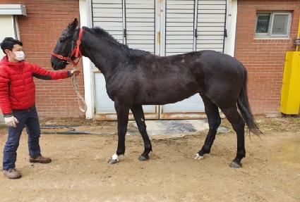 ���ī�캸�� ����