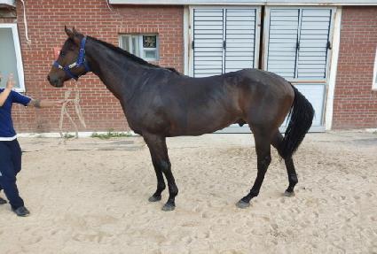 ���ǵ弱���� ����