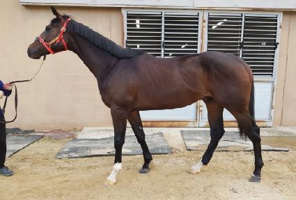 ������ ����