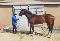 ����Ǯ������ (JOYFUL LIFE) ����