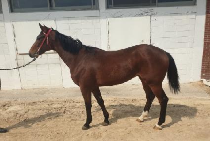 �ܽ�źƾ ����