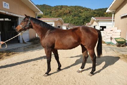 �����ͼ�ũ ����