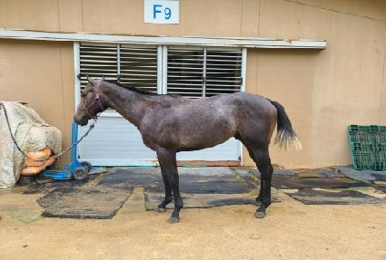 �ϴô�ϱ� ����