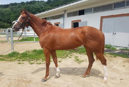 ���̶߳� ����