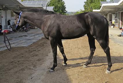 ���Ǿ�� ����