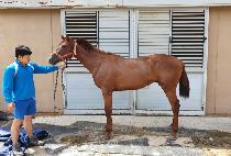 ����϶� (SANGSEUNG HARA) ����