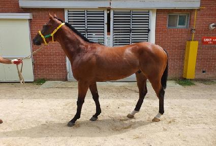 �ְ���� ����