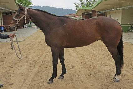 ȭ���ѹ̼� ����