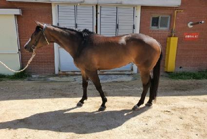 �ε����� ����