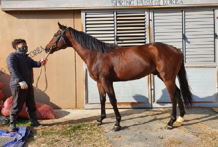 ���ϵ��ε� ����