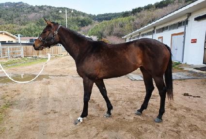 �̽��ε� ����