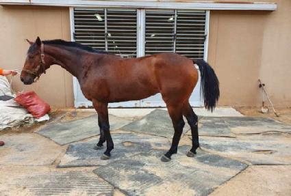 ���̸�ž�� ����