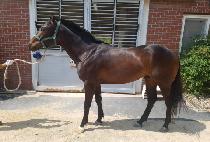 �������� (SINUI JEONSA) ����