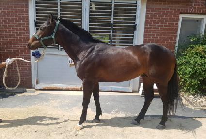 �������� ����