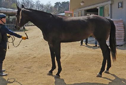 ���ȯ�� ����