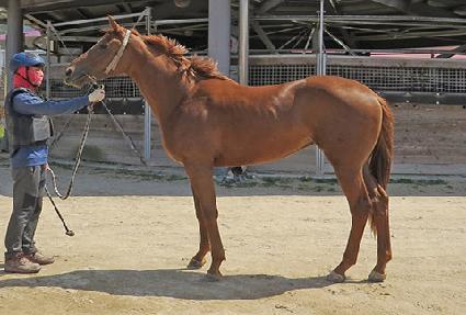 ����Ʈ ����