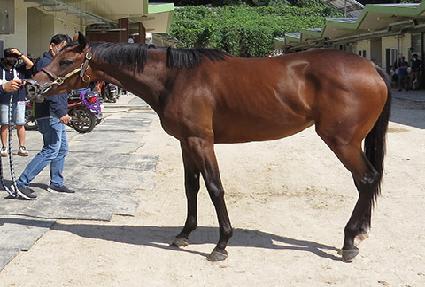 ť�ǵ忩��� ����