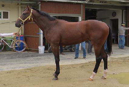 �����ī�� ����