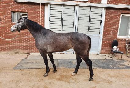 �����̽�Ÿ ����