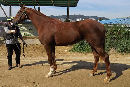 Ƽ�� ����