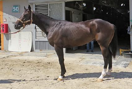 ����������Ʈ ����