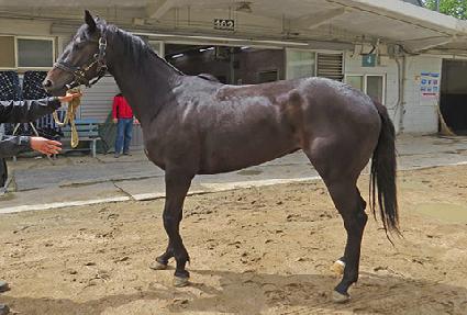 ��ǳõ�� ����