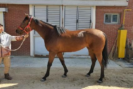 ��¸�ε� ����