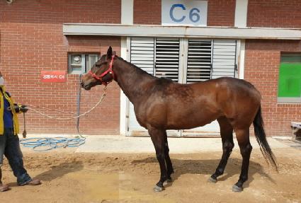 �����̽��ε� ����