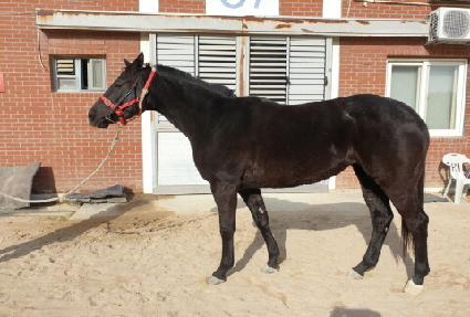 ��Ű�� ����